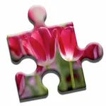 Blooming Flowers Puzzle icon