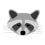 Raccoon App icon