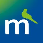 Momentum icon