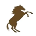 Palomino Propane icon