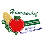 Hammerhof Lindau icon