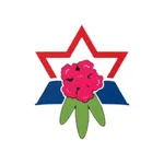 Laligurans National Academy icon