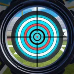 Sniper 3D - Shooting Champions icon