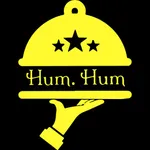 HumHum Nashmi icon