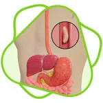 CloudLabs Food Digestion icon