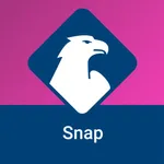 DFV Snap icon