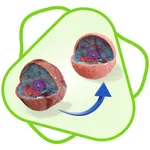 CloudLabs  Cell Metabolism icon