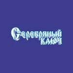 Серебряный ключ Владивосток icon