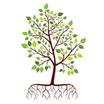 Mindfulness Meditation - PH icon