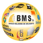 BMS + icon