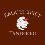 Balajee Spice icon