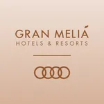 Meliá & Audi icon