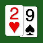 29 Card Game - Expert AI icon