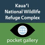 Kaua'i icon