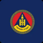 Төрийн аудит icon