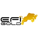 EFI Gold icon