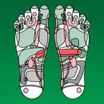 Reflexology Chart icon