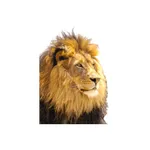 Langford Area Schools District icon