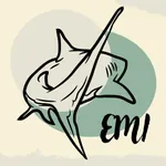 FUMoney icon
