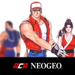 REAL BOUT FATAL FURY SPECIAL icon