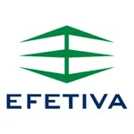 EFETIVA Segurança icon