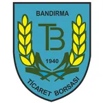 Bandırma TB Salon Satış icon