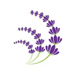 Lavender Store icon