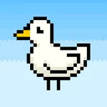 Duck Frenzy icon