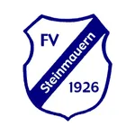 FV Steinmauern 1926 e.V. icon