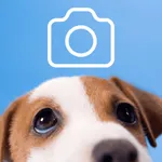 Dog Pictures icon