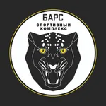 Спортивный комплекс Барс icon