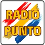 Radio Punto Altomilanese icon