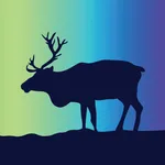 Единая карта жителя icon