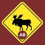 Alberta Driving Knowledge Test icon