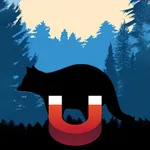 Raccoon Magnet–Raccoon Sounds icon