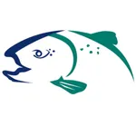 Steelhead icon