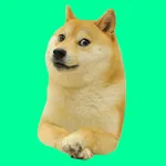 such doge icon