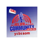 Community 103.3 FM icon