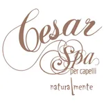 Cesar SPA per Capelli icon