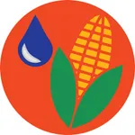 Corn Irrigation Scheduler icon