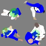 BJJ Quiz icon