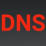 Simple DNS icon