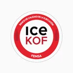 APP ICE icon