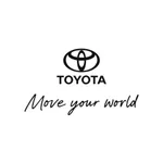 Toyota TDLS icon