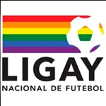 Ligay Nacional De Futebol icon