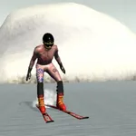 Ski Flip 3D icon