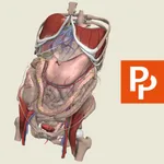 Primal's 3D Abdomen icon