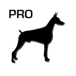 TOUGHDOG Connect icon