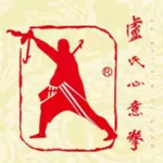 智能卢氏心意拳 icon
