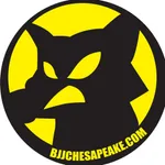 GMBJJ Chesapeake icon